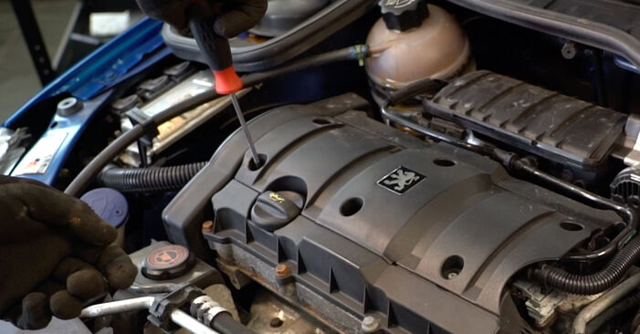 Schimbare Bujie Peugeot 206 cc 2d 2.0 S16 2002: manualele de atelier gratuite