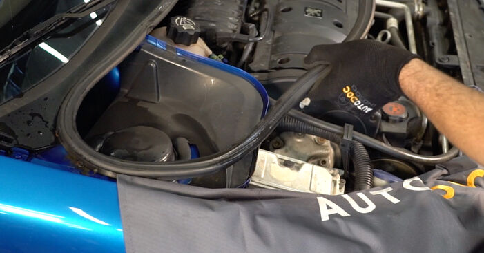 Stoßdämpfer Peugeot 206 CC 1.6 HDi 110 2002 wechseln: Kostenlose Reparaturhandbücher