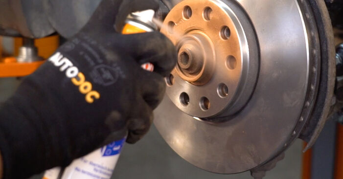 How hard is it to do yourself: Brake Calipers replacement on Passat 3B6 2.0 TDI 2000 - download illustrated guide