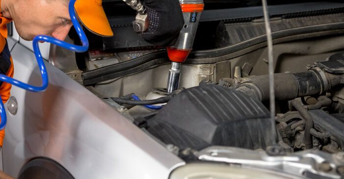 Wie kompliziert ist es, selbst zu reparieren: Domlager am Opel Corsa C 1.7 DI (F08, F68) 2006 ersetzen – Laden Sie sich illustrierte Wegleitungen herunter
