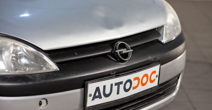 Kako dolgo traja menjava: Ležaj Amortizerja na Opel Corsa C 2008 - informativni PDF priročnik