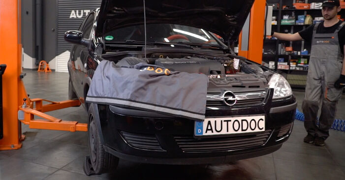 Не е трудно да го направим сами: смяна на Пружинно окачване на Opel Corsa C 1.7 DI (F08, F68) 2006 - свали илюстрирано ръководство