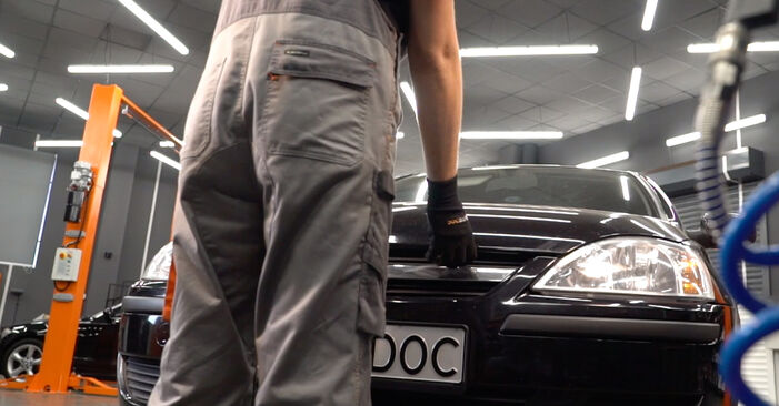 Corsa C Hatchback (X01) 1.7 DTI (F08, F68) 2001 Shock Absorber DIY replacement workshop manual