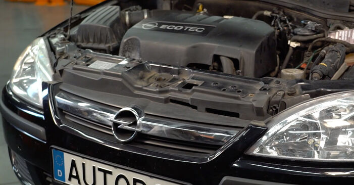 Wymiana Filtr powietrza kabinowy Opel Corsa C 1.2 (F08, F68) 2000 - darmowe instrukcje PDF i wideo