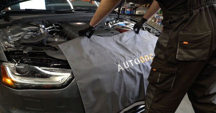 Audi A4 B8 1.8 TFSI 2009 Luftfilter austauschen: Unentgeltliche Reparatur-Tutorials
