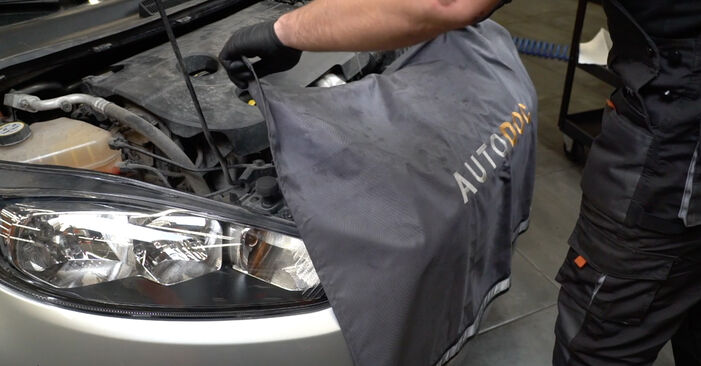 Fiesta Mk6 Hatchback (JA8, JR8) 1.4 LPG 2019 Zracni filter DIY menjava, priročnik delavnice