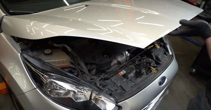 Hoe Luchtfilter FORD Fiesta Mk6 Hatchback (JA8, JR8) 2020 vervangen - advies en uitleg