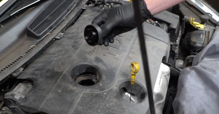 Ford Fiesta Mk6 1.4 2014 Ölfilter wechseln: wie schwer ist es, selbst zu reparieren - Downloaden Sie sich illustrierte Anleitungen
