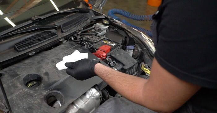 Priporočila korakov za DIY zamenjavo Ford Fiesta Mk6 2021 1.4 LPG Oljni filter