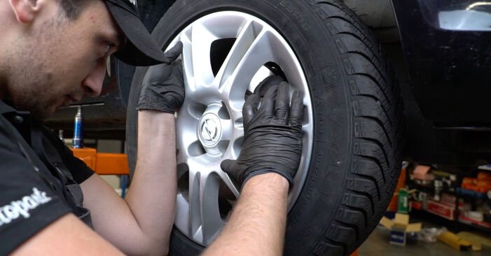 Corsa D Hatchback (S07) 1.3 CDTI (L08, L68) 2008 Wheel Bearing DIY replacement workshop manual