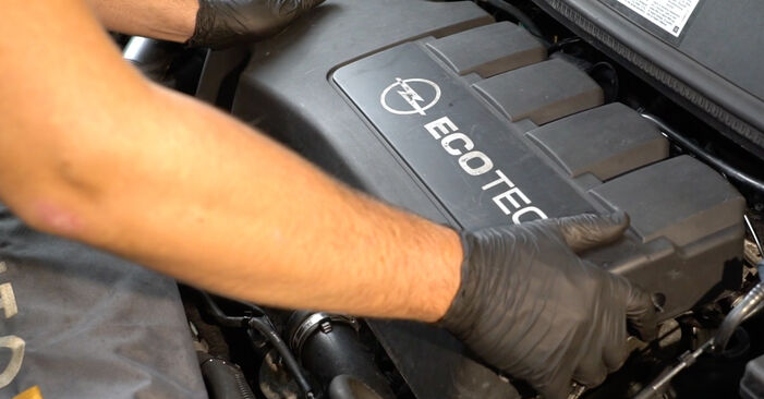Come cambiare Filtro olio motore su OPEL Corsa D Hatchback (S07) 2009 - suggerimenti e consigli