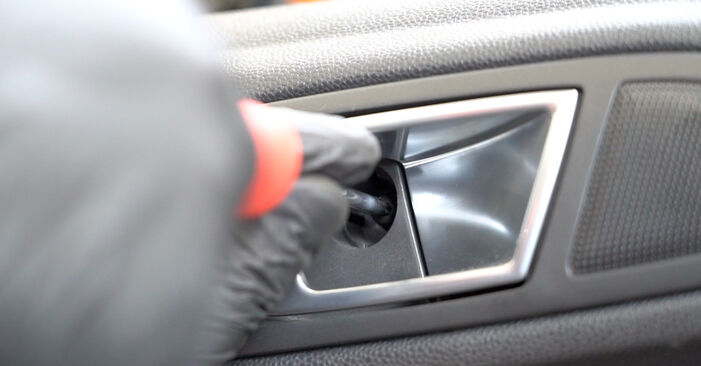 Pakāpeniski ieteikumi patstāvīgai Ford Fiesta Mk6 2021 1.4 LPG Ārējais atpakaļskata spogulis nomaiņai