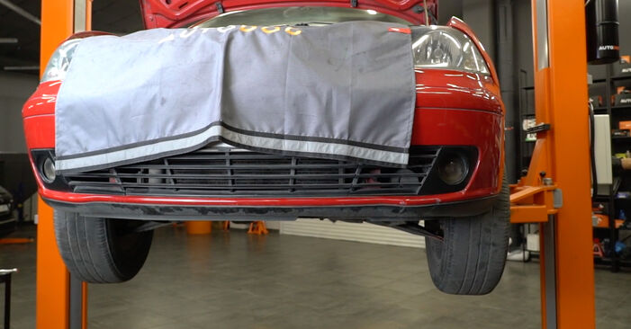 Hoe Brandstoffilter SEAT Ibiza III Hatchback (6L) 2006 vervangen - advies en uitleg
