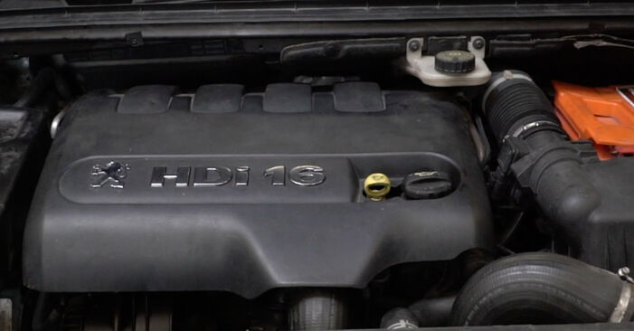 Cambio Filtro de Combustible en Peugeot 307 SW 2002 no será un problema si sigue esta guía ilustrada paso a paso