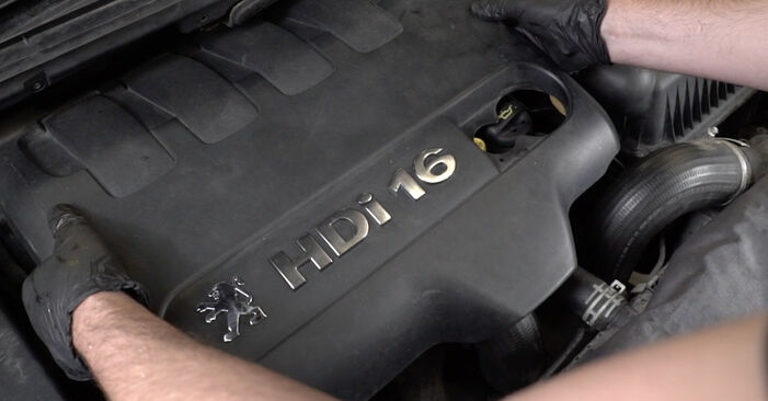 Wymień samodzielnie Filtr oleju w Peugeot 307 SW 2004 1.6 HDI 1100