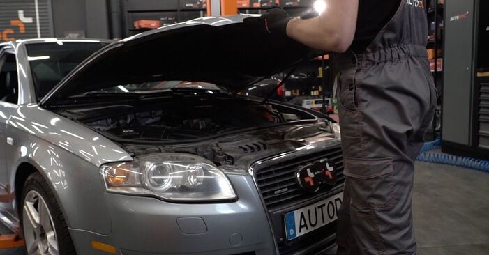 Come cambiare Alzacristalli su Audi A4 B7 Sedan 2004 - manuali PDF e video gratuiti