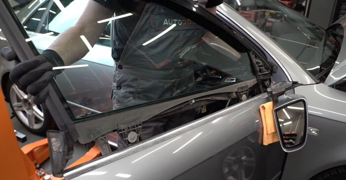 Consigli passo-passo per la sostituzione del fai da te Audi A4 B7 Sedan 2007 2.0 Alzacristalli