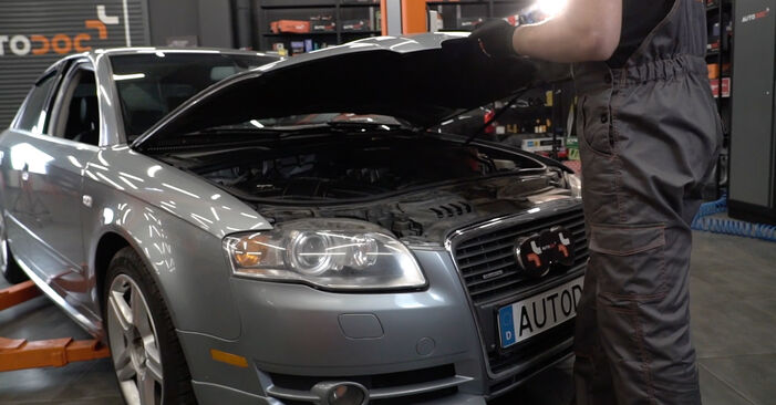 Hvordan skifte Bremseskiver på Audi A4 B7 Sedan 2004 – gratis PDF- og videoveiledninger
