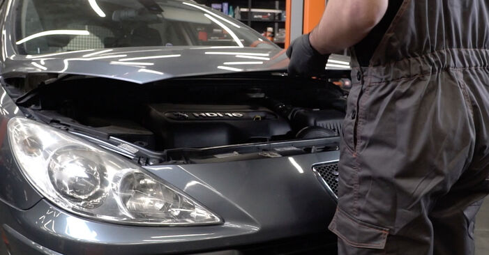 How to change Engine Mount on Peugeot 307 SW 2002 - free PDF and video manuals