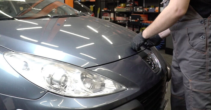 Replacing Engine Mount on Peugeot 307 SW 2004 1.6 HDI 110 by yourself