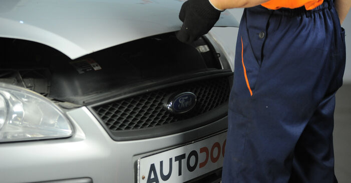 Wie kompliziert ist es, selbst zu reparieren: Bremsscheiben am Ford Focus mk2 Limousine 1.4 2011 ersetzen – Laden Sie sich illustrierte Wegleitungen herunter