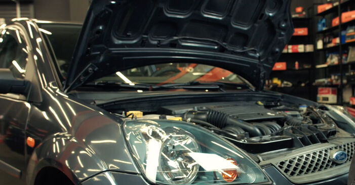 Come cambiare Filtro Olio su Ford Fiesta Mk5 2001 - manuali PDF e video gratuiti