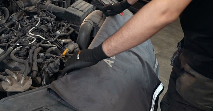 Wie Kraftstofffilter VW Passat Limousine (362) 1.6 TDI 2011 austauschen - Schrittweise Handbücher und Videoanleitungen