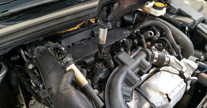 Peugeot RCZ Coupe 1.6 16V 2012 Bobine remplaceren: kosteloze garagehandleidingen