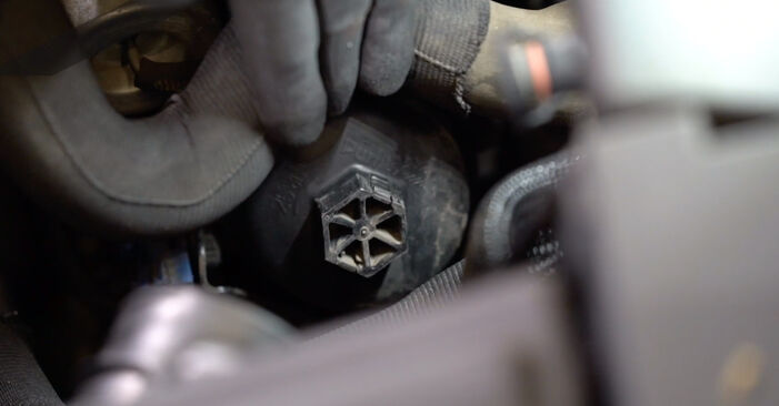 Mudar Filtro de Óleo no Peugeot 407 Coupe 2013 não será um problema se você seguir este guia ilustrado passo a passo