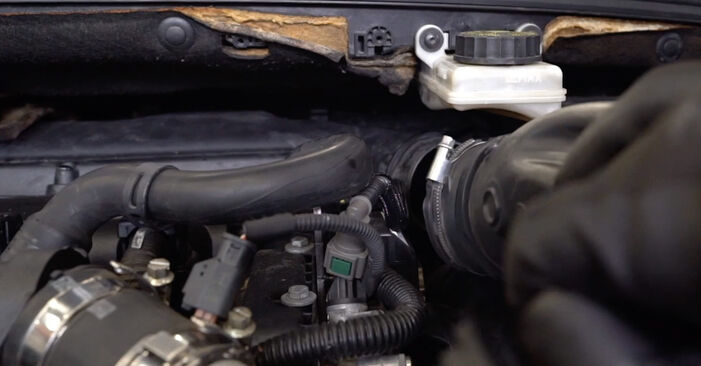 Svojpomocná výmena Olejový filter na aute Peugeot 407 Coupe 2015 2.7 HDi