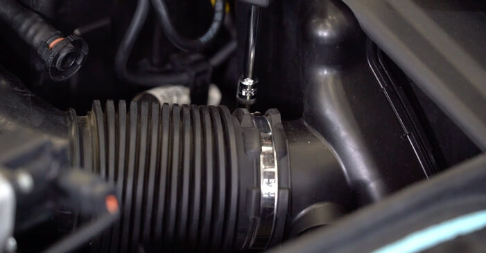Kako težko to naredite sami: Oljni filter zamenjava na Peugeot 4007 SUV 4x4 2.0 4x4 2013 - prenesite slikovni vodnik
