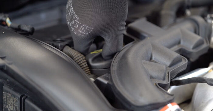 Schrittweise Anleitung zum eigenhändigen Ersatz von Peugeot Expert Tepee 2020 1.6 HDi 90 16V Ölfilter