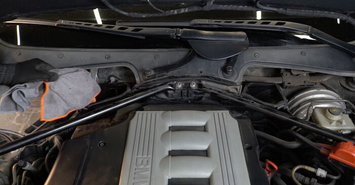Wie man Luftfilter am BMW 7 (E65, E66, E67) 2004 ersetzt - Hinweise und Ratschläge