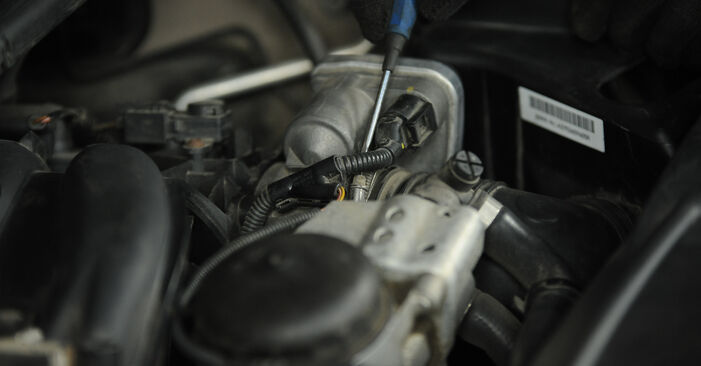 Wie Luftfilter beim BMW X1 E84 2009 gewechselt werden - Unentgeltliche PDF- und Videoanweisungen