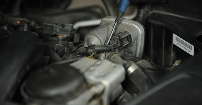 Luftfilter am BMW 1 Cabrio (E88) 123d 2.0 2013 wechseln – Laden Sie sich PDF-Handbücher und Videoanleitungen herunter