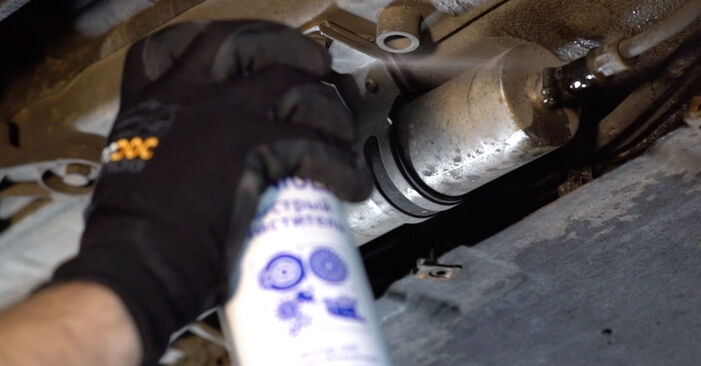 Tauschen Sie Kraftstofffilter beim BMW 6 Coupe (F13) 640 d xDrive 2013 selbst aus