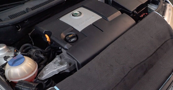 Svojpomocná výmena Vzduchový filter na aute Skoda Roomster 5j 2006 1.9 TDI