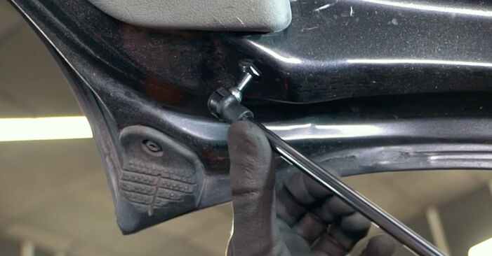 Tauschen Sie Heckklappendämpfer beim Renault Megane Scenic 2000 1.6 16V (JA0B, JA04, JA11, JA00) selber aus