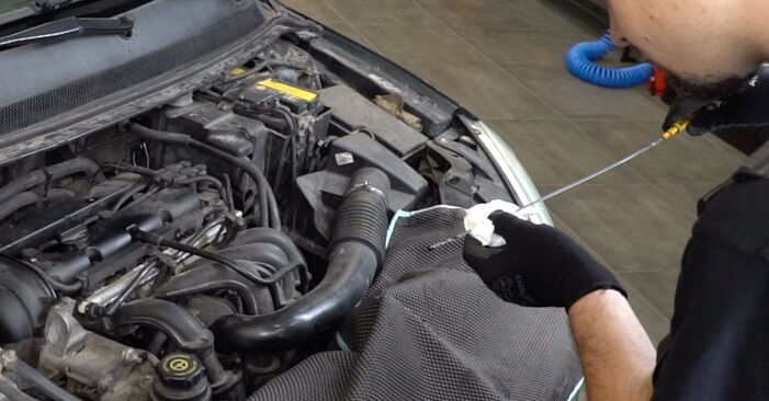 Wie man Ölfilter am FORD Fiesta Mk6 Kastenwagen 2014 wechselt – Laden Sie sich PDF-Wegleitungen und Videoanweisungen herunter