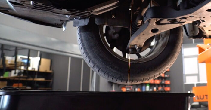 Wie kompliziert ist es, selbst zu reparieren: Ölfilter am Ford Fiesta Mk6 Kastenwagen 1.0 2015 ersetzen – Laden Sie sich illustrierte Wegleitungen herunter
