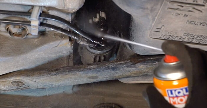 Schimbare Filtru combustibil Peugeot 208 Van 1.6 HDi 92 2014: manualele de atelier gratuite