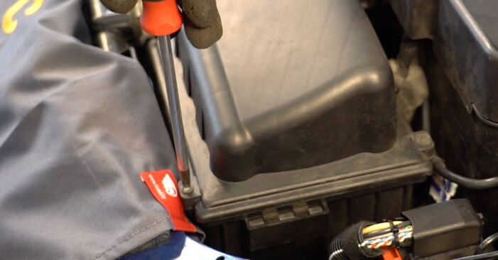 Wie man Luftfilter beim Peugeot 206 SW 2002 wechselt - Gratis PDF- und Video-Tutorials