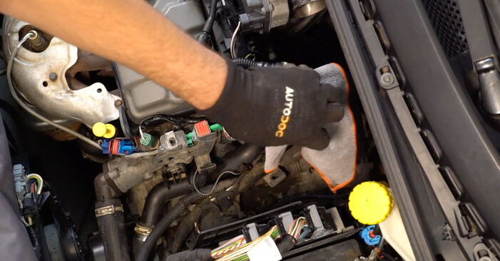 Come cambiare Filtro dell'aria su CITROËN C2 Hatchback (JM) 2015 - suggerimenti e consigli
