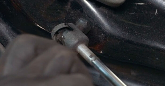 How to remove RENAULT SCÉNIC 1.9 dTi 2003 Tailgate Struts - online easy-to-follow instructions