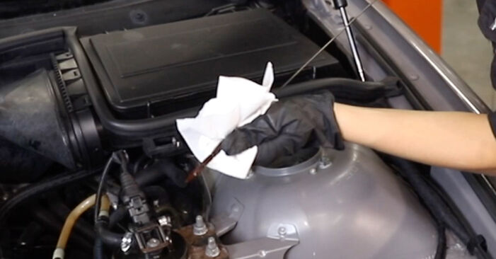 Sostituzione di Filtro olio motore BMW 7 SERIES 740 i, iL0: guide online e tutorial video