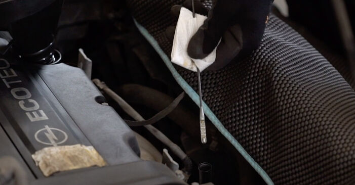 Come cambiare Filtro olio motore su OPEL Corsa C Van (X01) 2012 - suggerimenti e consigli