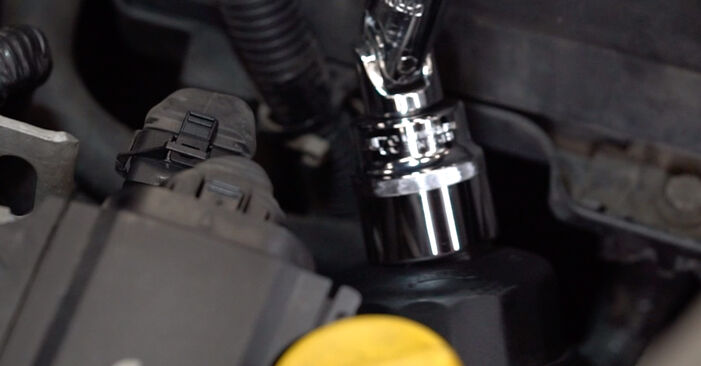 Tauschen Sie Ölfilter beim OPEL Corsa C Kastenwagen (X01) 1.7 DTI 16V (F08, W5L) 2003 selbst aus