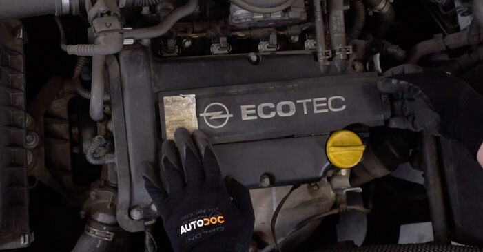 Wie man Zündkerzen beim Opel Corsa C Kastenwagen 2000 wechselt - Gratis PDF- und Video-Tutorials