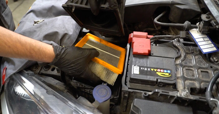 Ford Fiesta Mk6 Kastenwagen 1.6 TDCi 2011 Luftfilter wechseln: Kostenfreie Reparaturwegleitungen