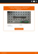 STARK SKIF-0170242 für Fiesta Mk6 Limousine | PDF Tutorial zum Austausch